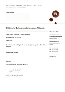 Alaskan Malamute polyneuropathy CLEAR certificate