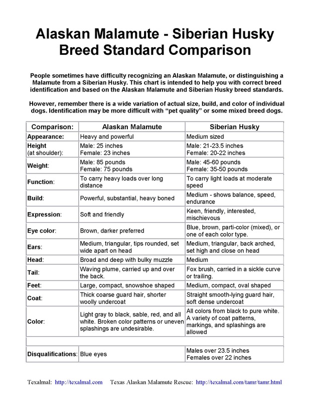 PDF Chart: Alaskan Malamute vs Siberian Husky - Breed Standard Comparison PDF Chart By M.Serage, Texas Alaskan Malamute Rescue PDF