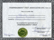 Temperament Test - Alaskan Malamute
